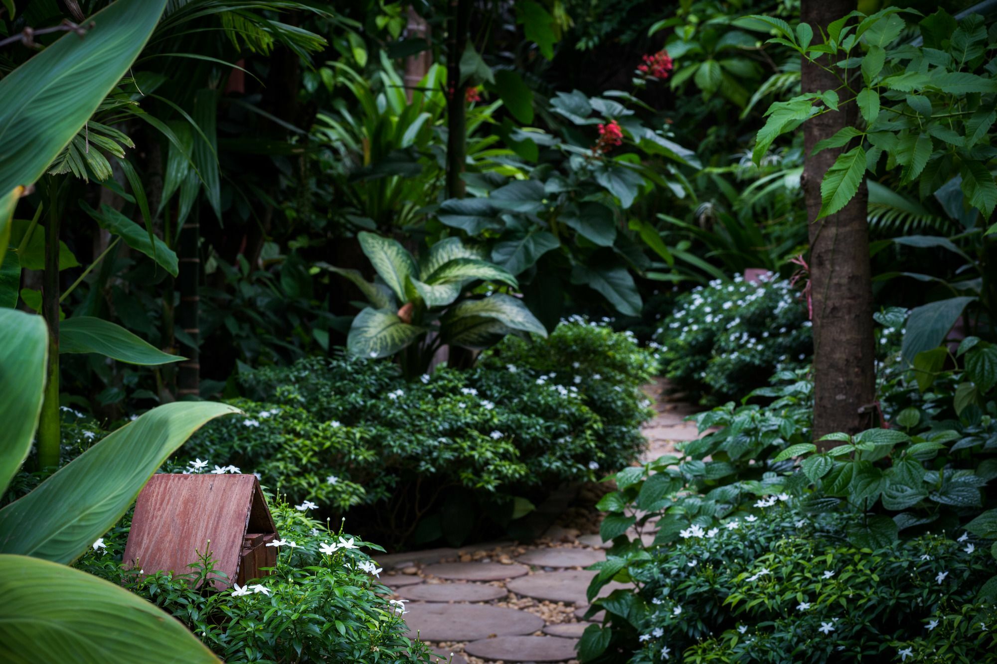 Malu Khmer Villa Siem Reap Exteriör bild